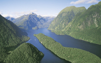 Doubtful Sound Wilderness Cruise - c real journeys